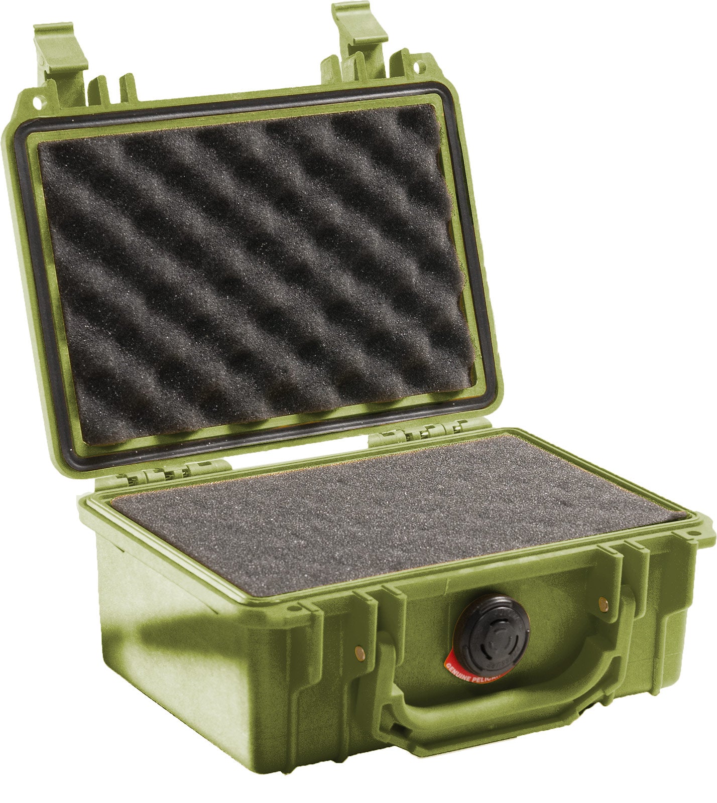 1120 Protector Case