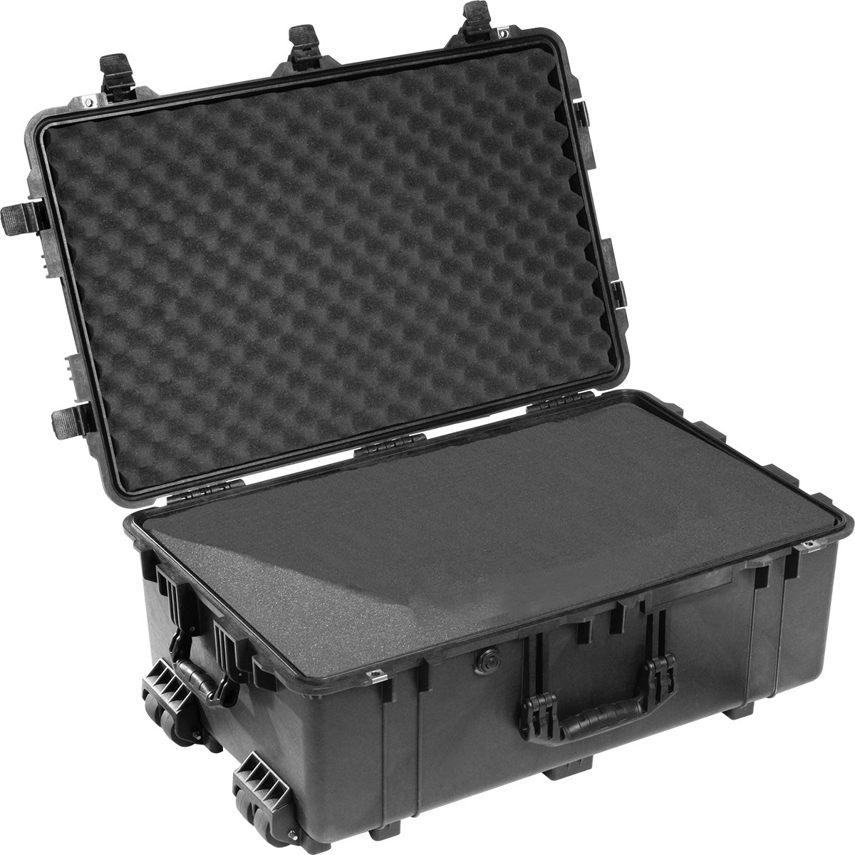 1650EU Protector Case