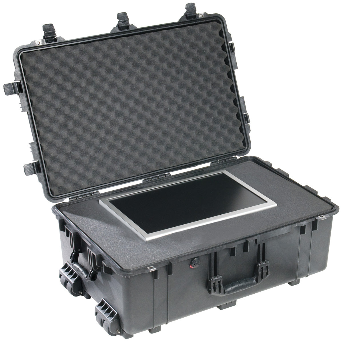 1650EU Protector Case