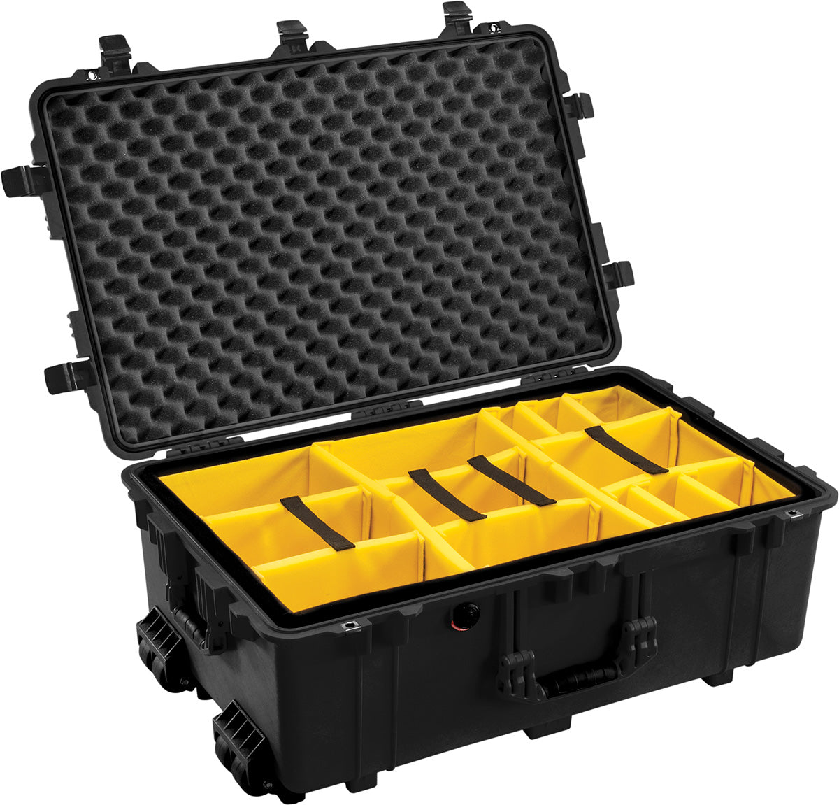 1650EU Protector Case